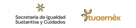 Secretaria de Igualdad Sustantiva y Cuidados